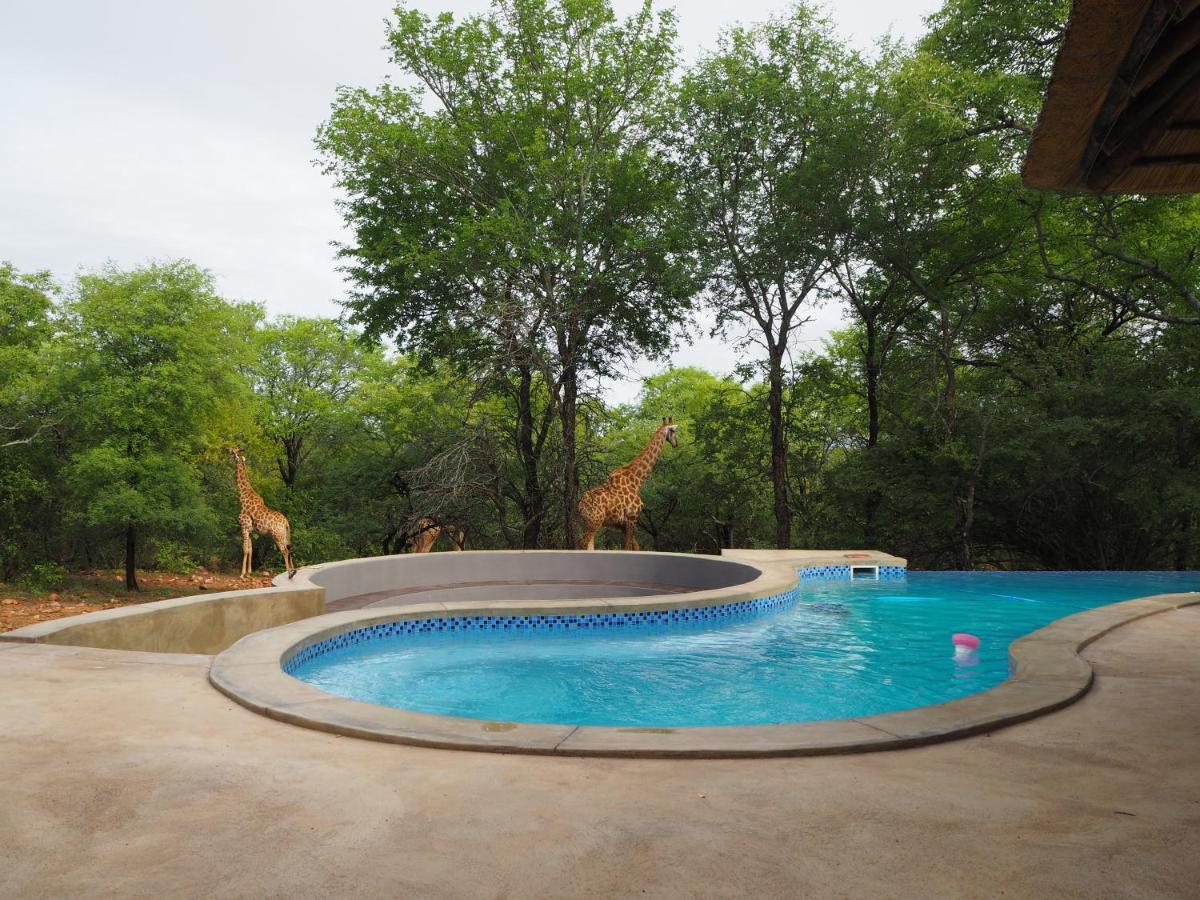 Pata Pata House Villa Marloth Park Exterior photo