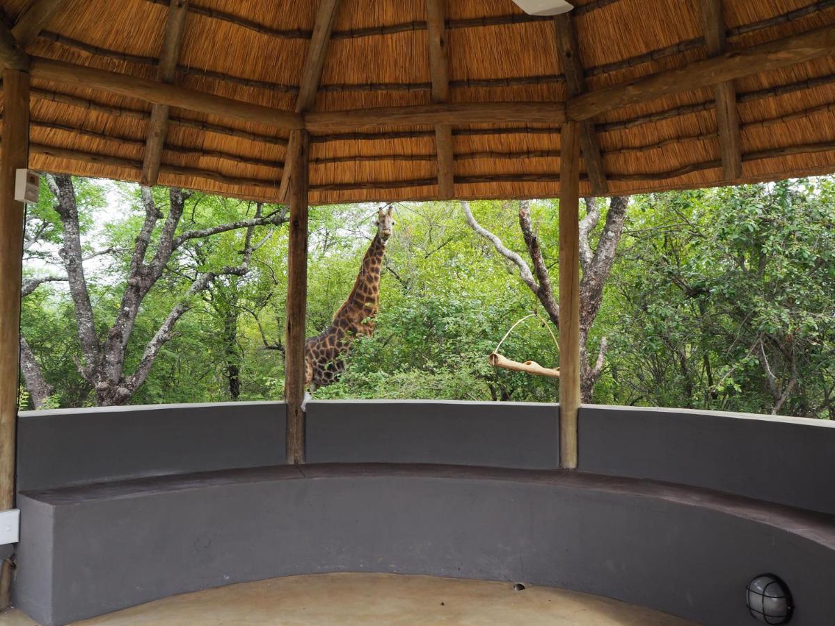 Pata Pata House Villa Marloth Park Exterior photo