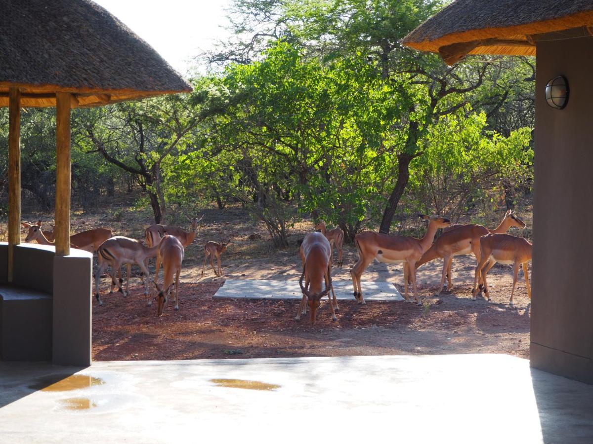 Pata Pata House Villa Marloth Park Exterior photo
