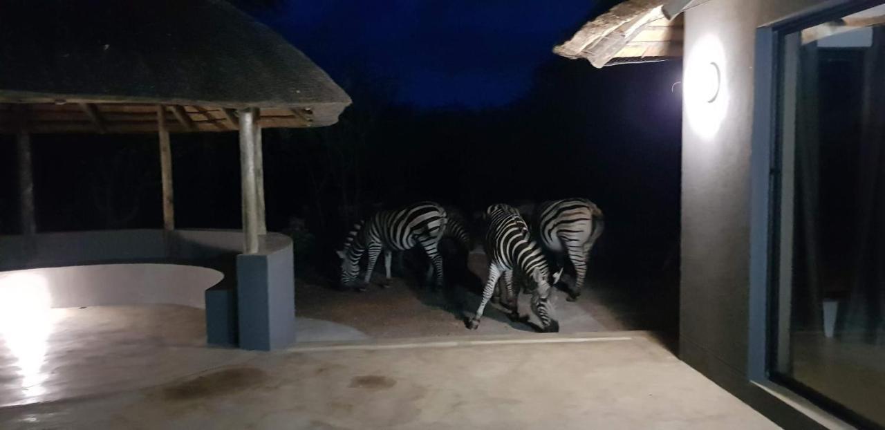 Pata Pata House Villa Marloth Park Exterior photo